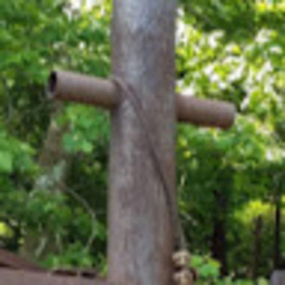 Meet your Posher, Trish